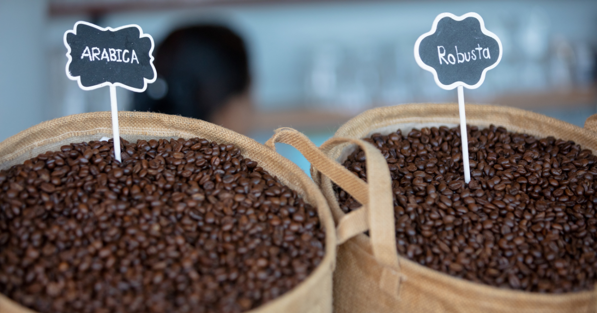 Robusta vs. Arabica